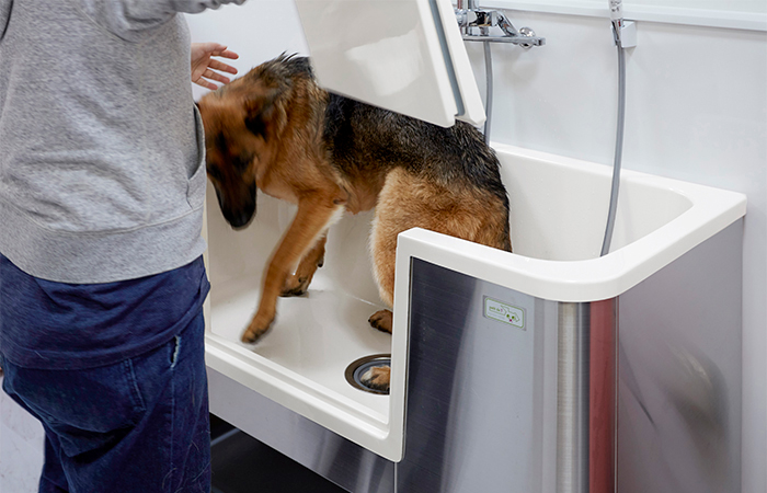 ドッグバス1300 ドア付き スノーホワイト PDB-130-WT （ため湯不可